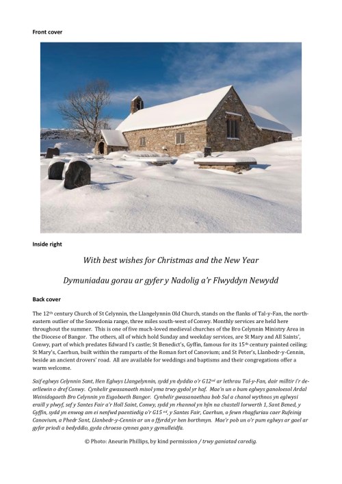 Bro Celynnin Christmas Card