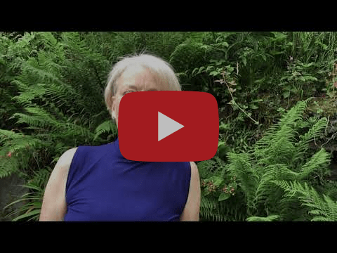 Sixth Sunday after Trinity